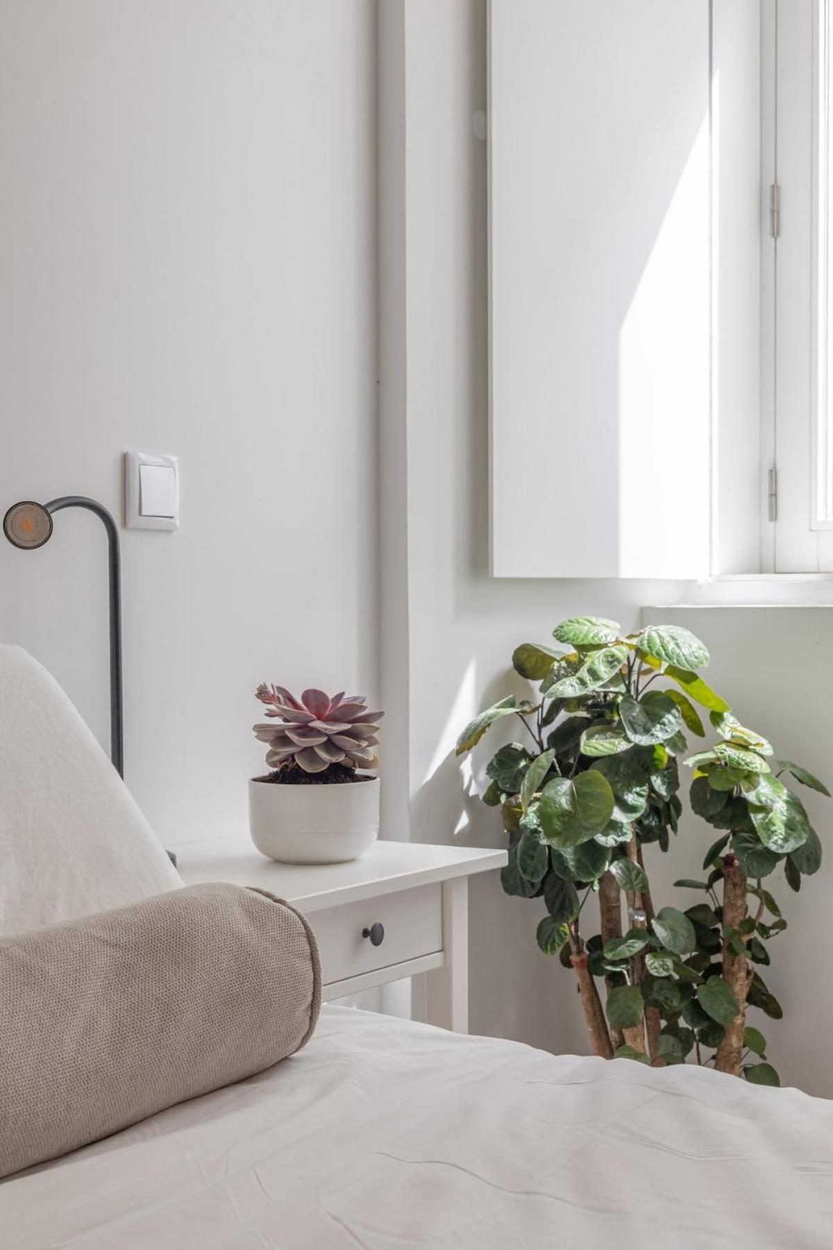Casa Tamar Apartment Лагос Екстериор снимка
