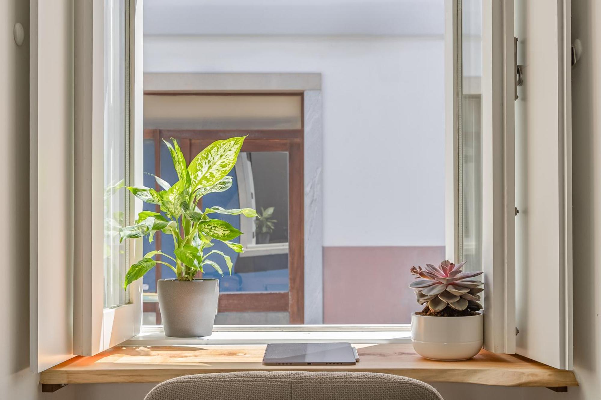 Casa Tamar Apartment Лагос Екстериор снимка